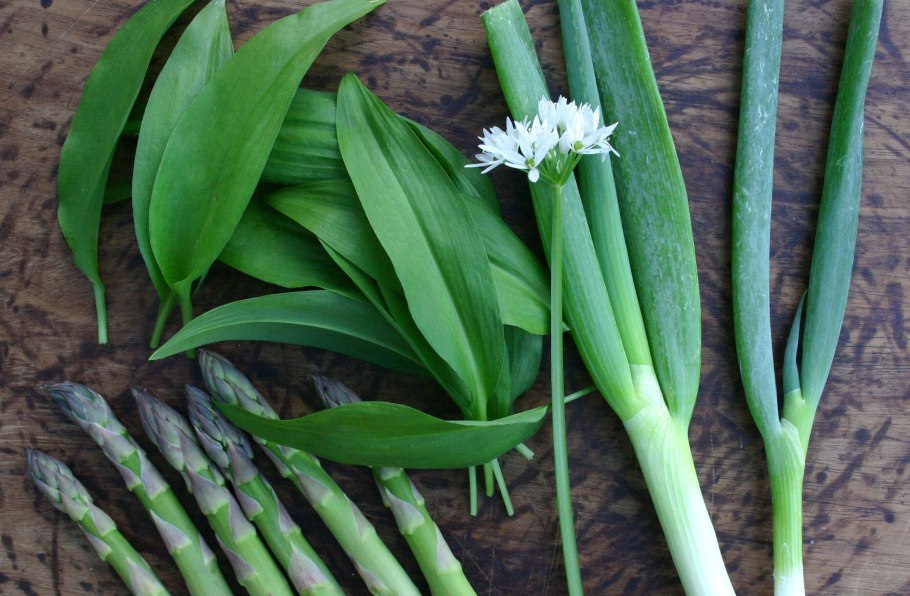 Ахцан зелень