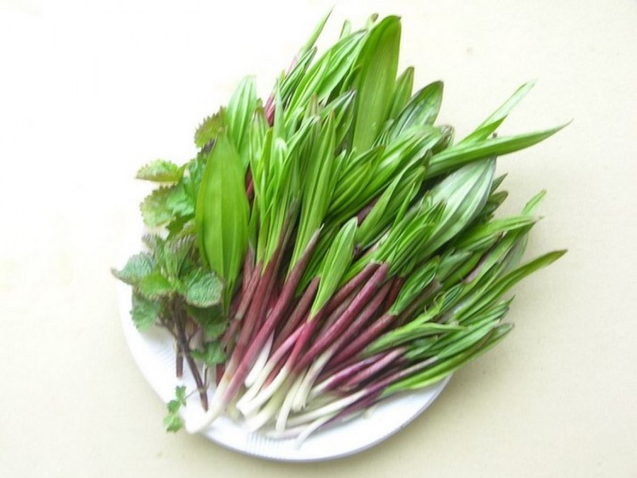 Шушан сибех