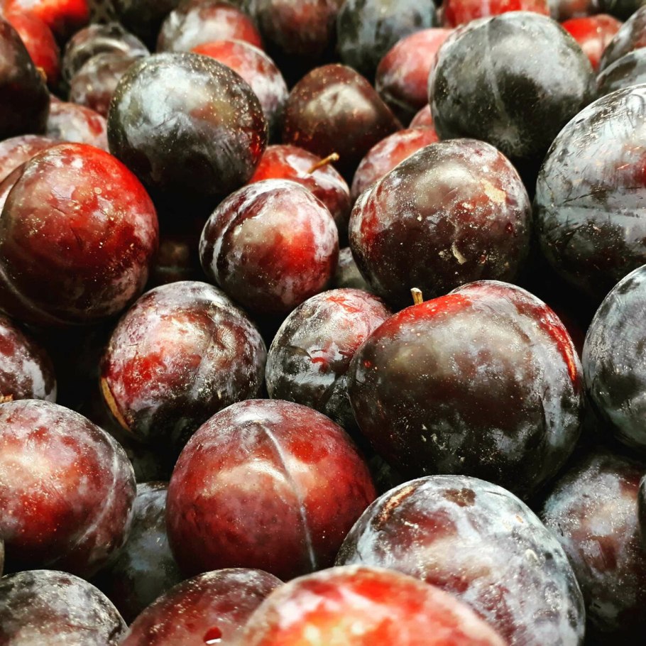 Слива сорт деликатесная