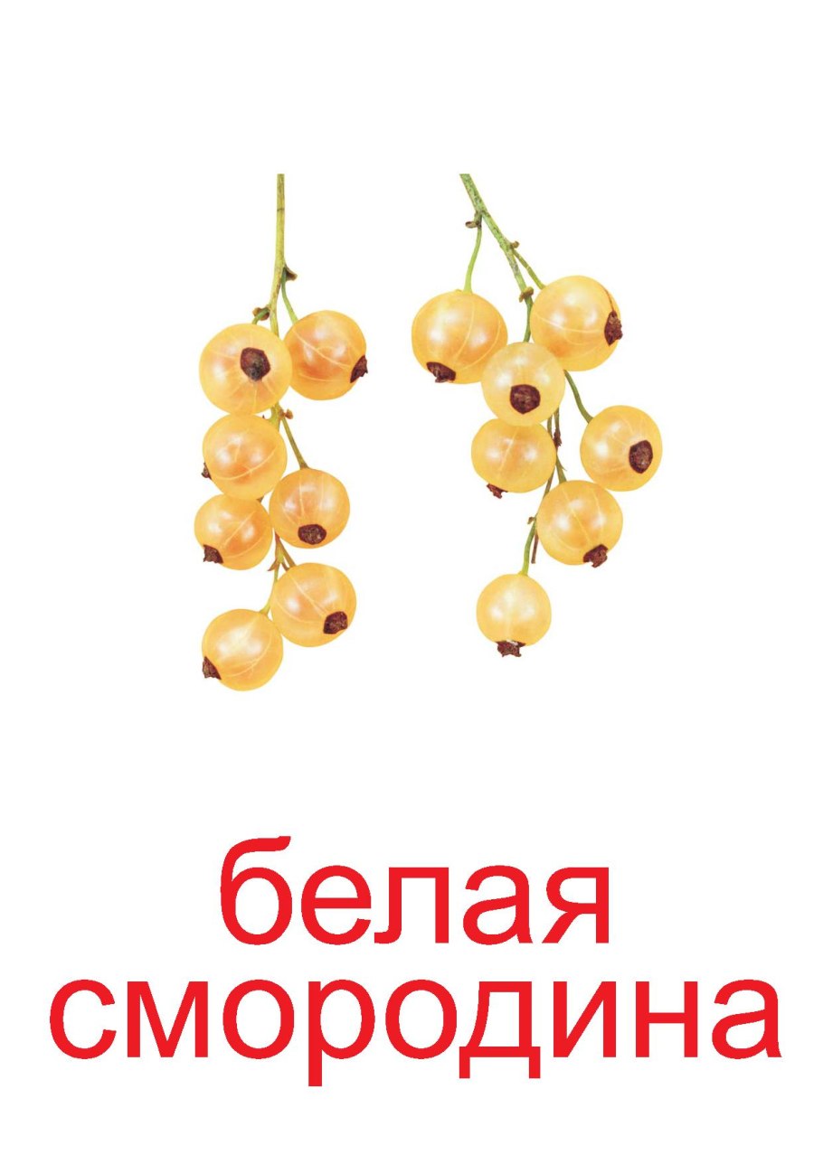 Смородина ягода