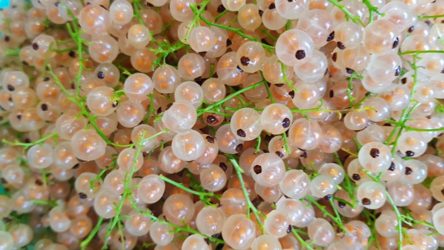 Белая смородина фото