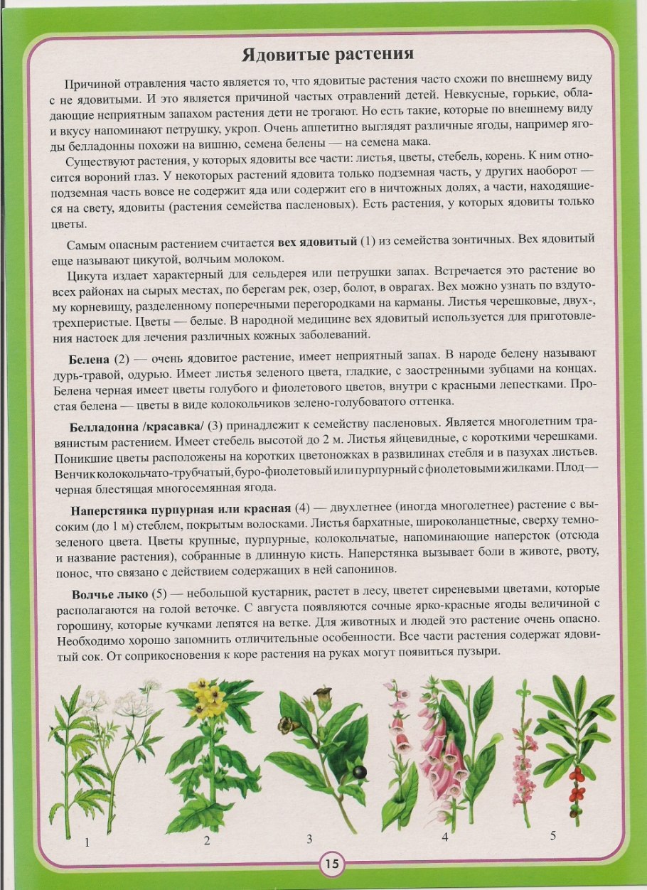 Ядовитые растения