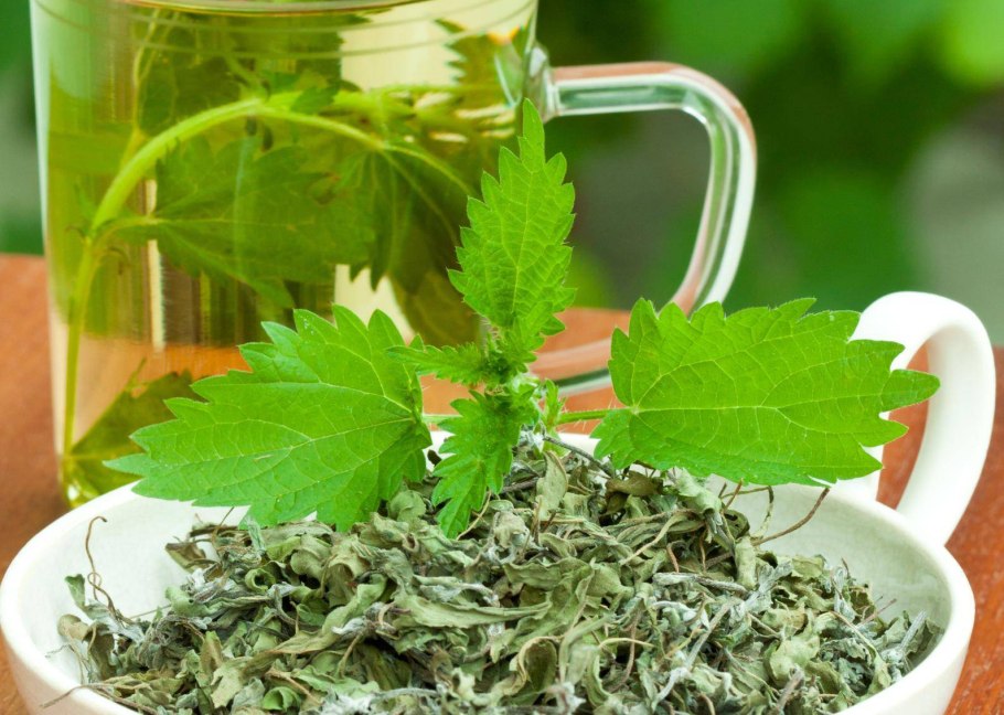 Конопля приколы