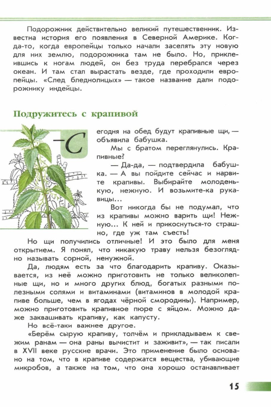 Пустырник зеленые страницы Плешаков