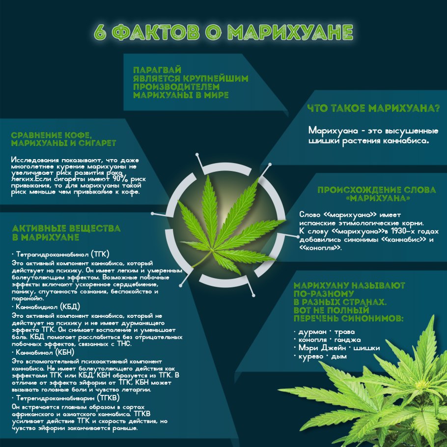 Настой крапивы