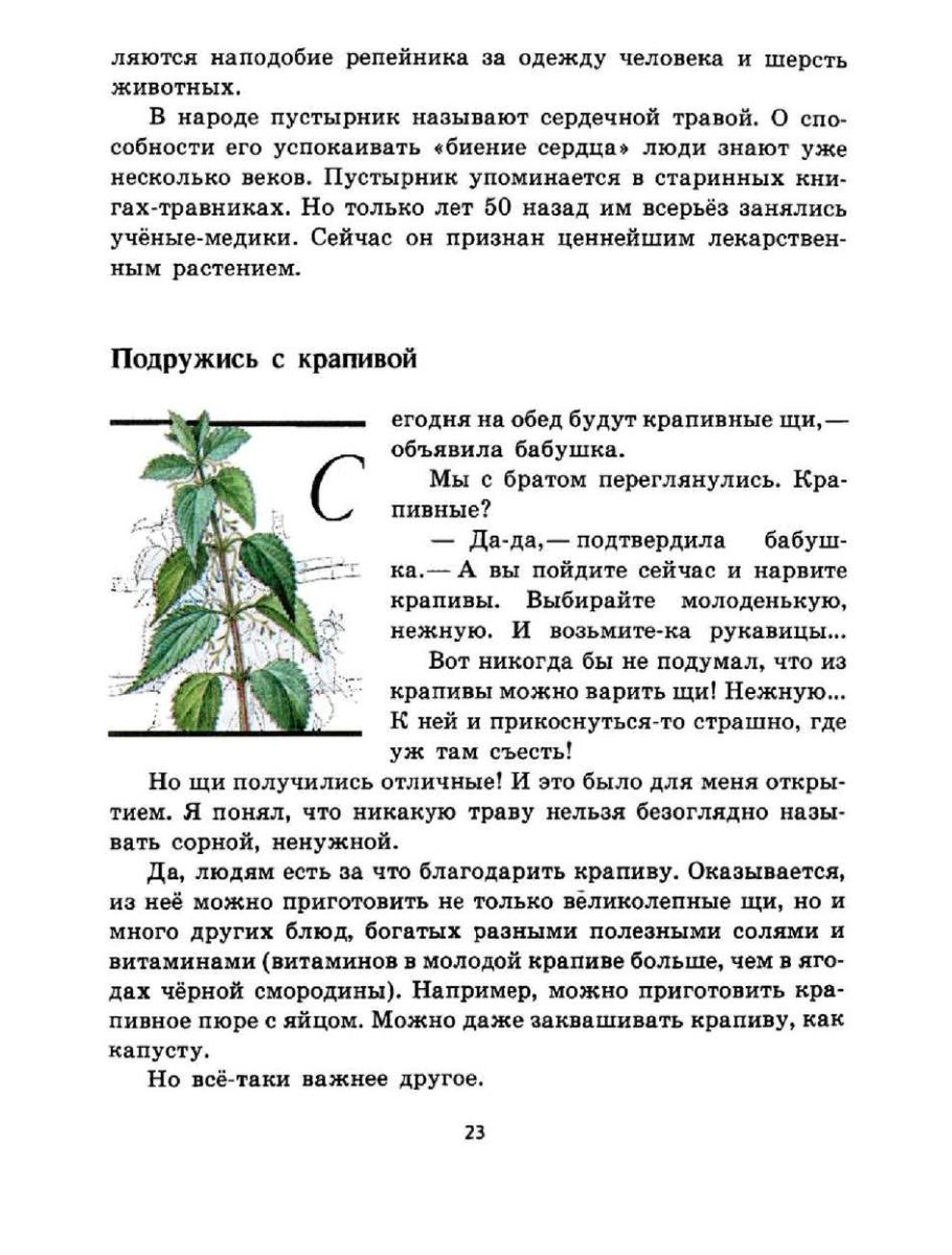 Лечебные растения чистотел