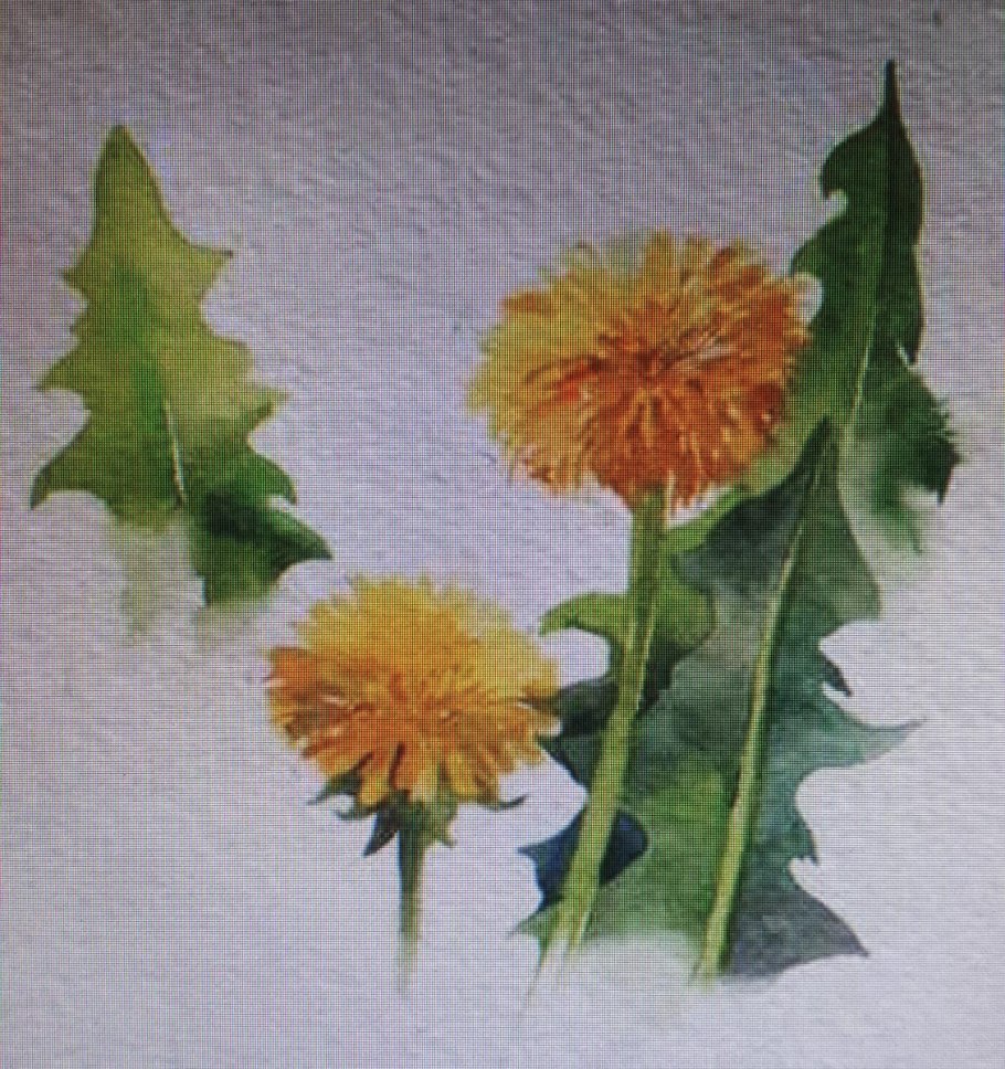 Вячеслав палачев мать и мачеха