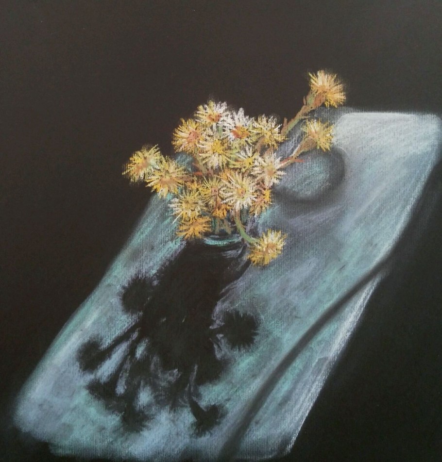 Мать и мачеха гербарий