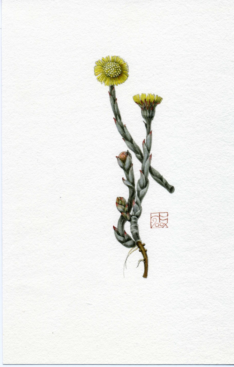 Иван Шишкин. Мать-и-мачеха