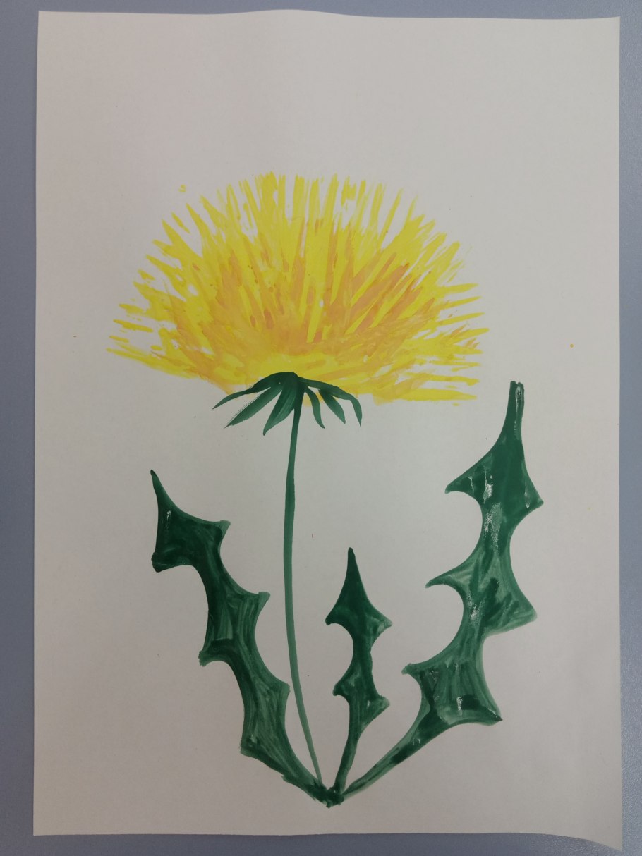 Мать и мачеха лекарственное растение