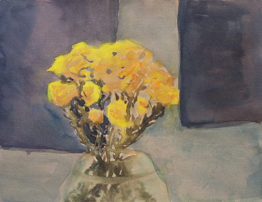 Шипиленко а.к. мать-и-мачеха обыкновенная. 1971. Бумага, акварель