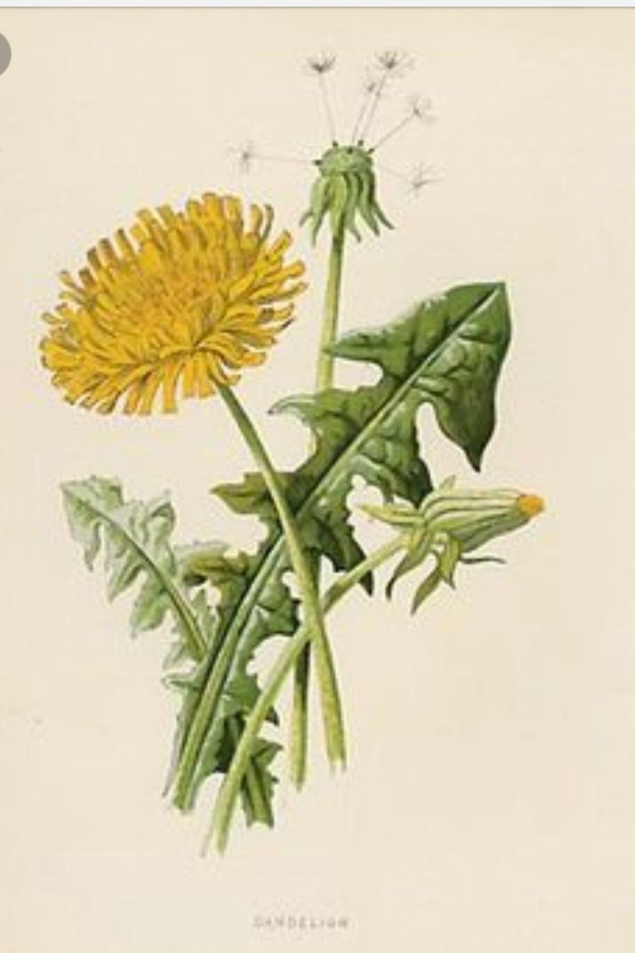 Карточка мать и мачеха