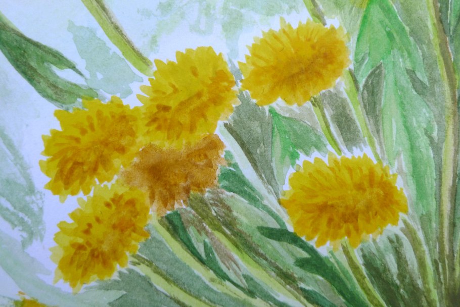 Этюд одуванчика акварель