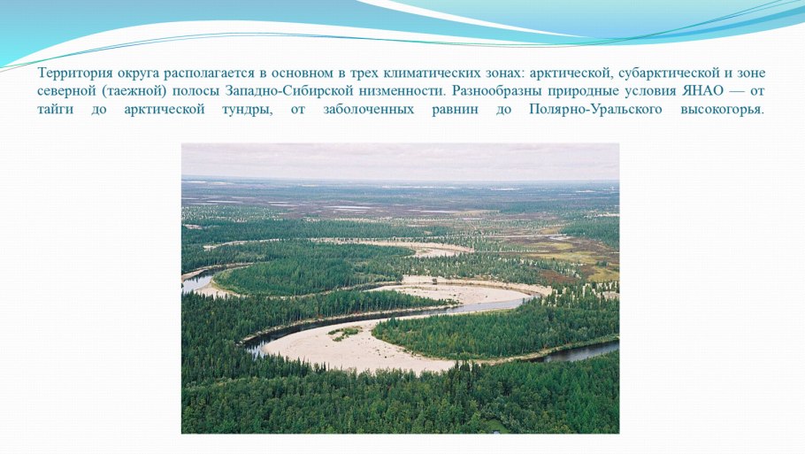 Водяника ягода