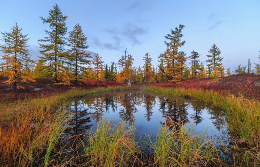 Природный комплекс заповедника остров Врангеля