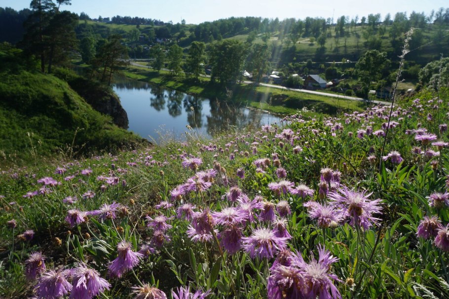 Флора Южного Урала