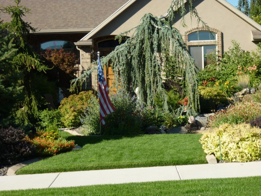 Блю Эрроу и гортензия