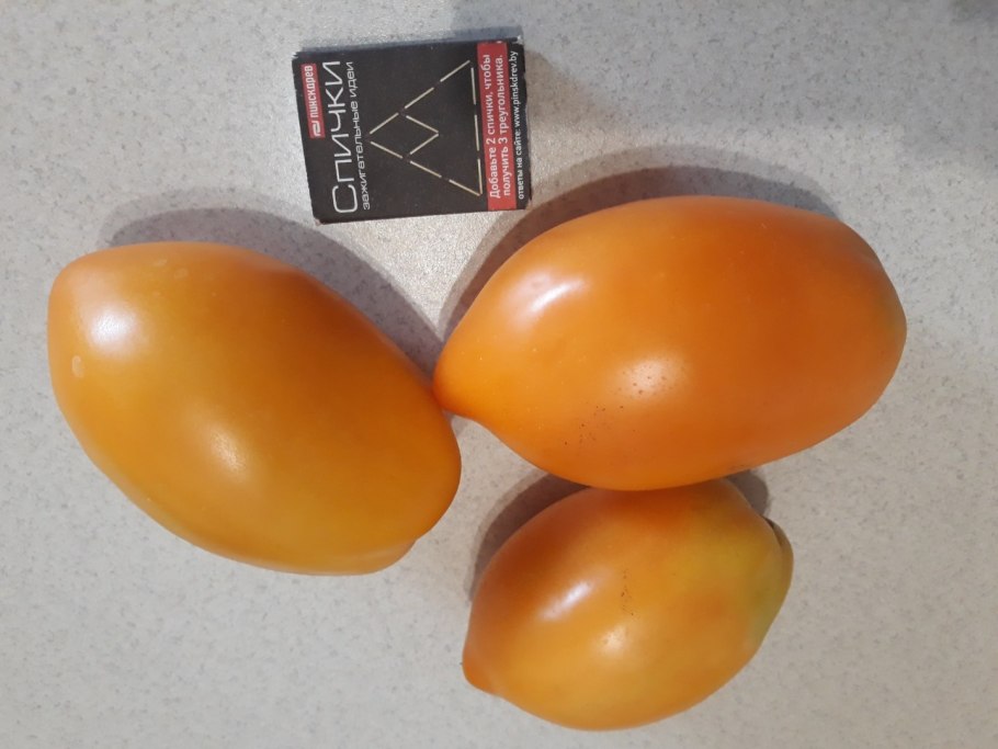 Томат золотой Кенигсберг Сиб сад