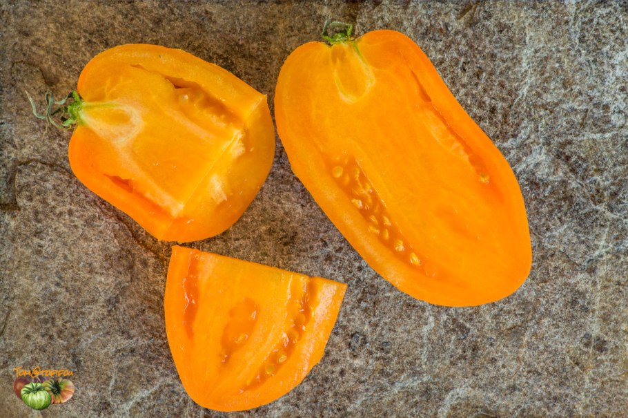 Томат Южный загар Сибирский сад