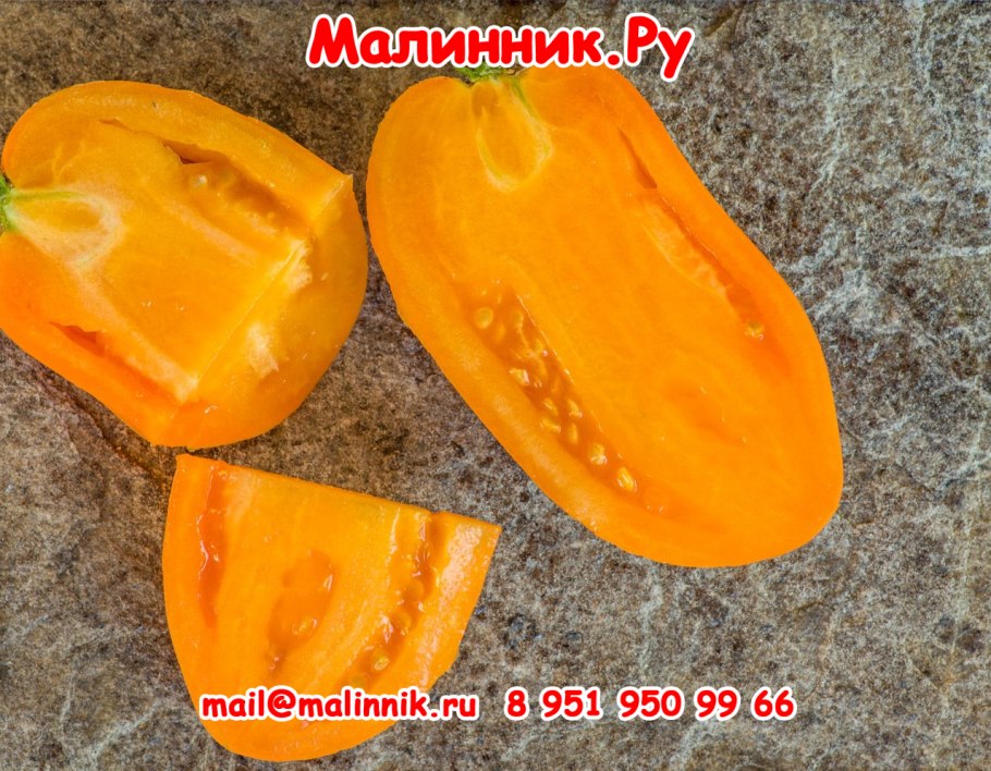 Томат золотой поток f1