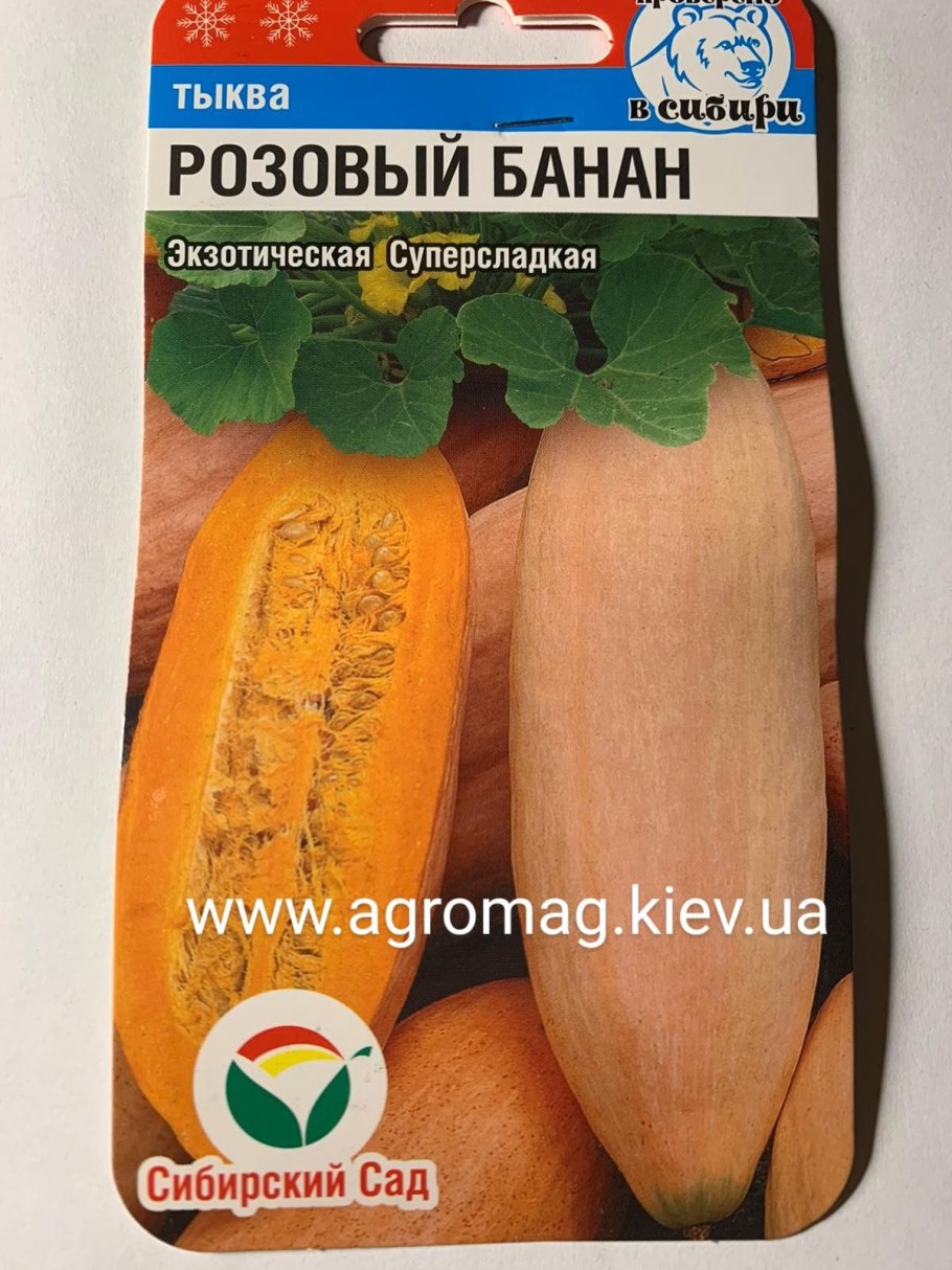 Томат эм чемпион Сибирский сад