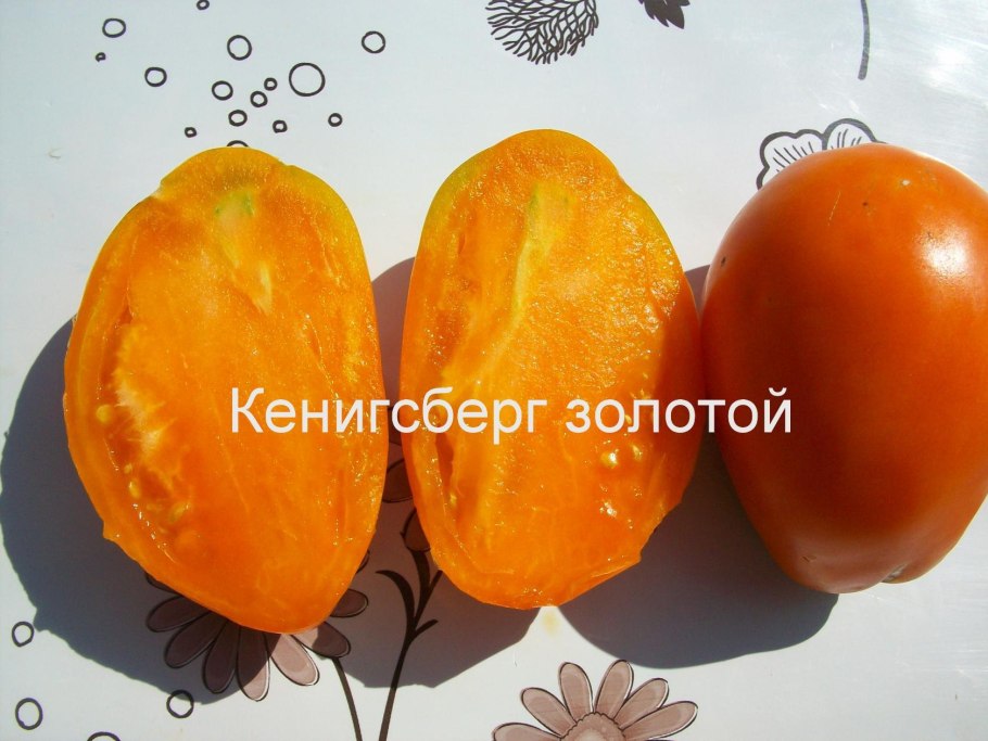 Томат Сливка Бендрика желтая