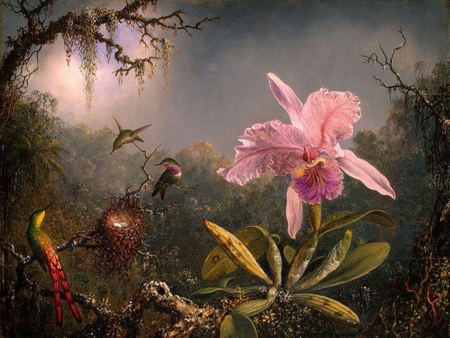 Мартин Джонсон хед картины