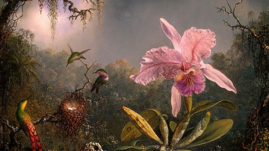 Мартин Джонсон хед Lake George