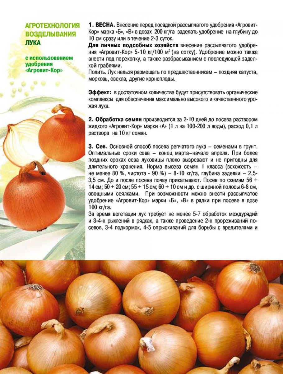 Этикетка на лук севок