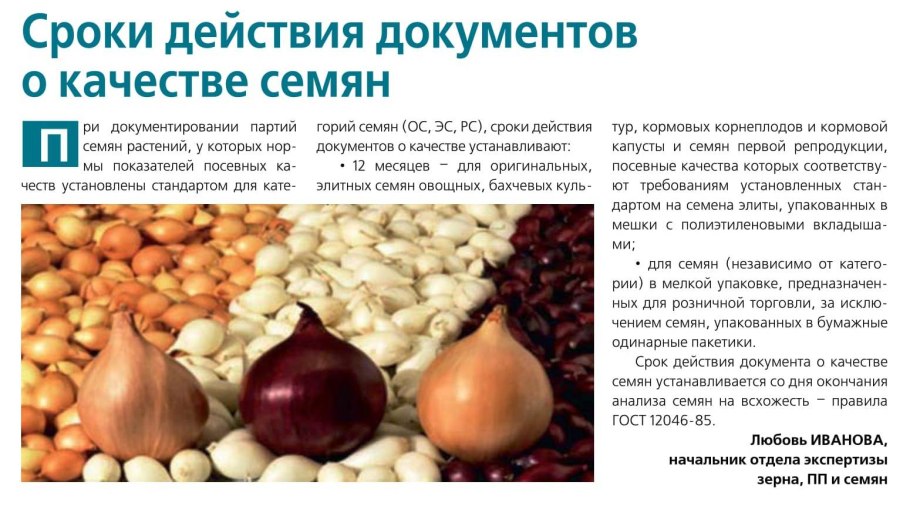 Лук жареный сушеный