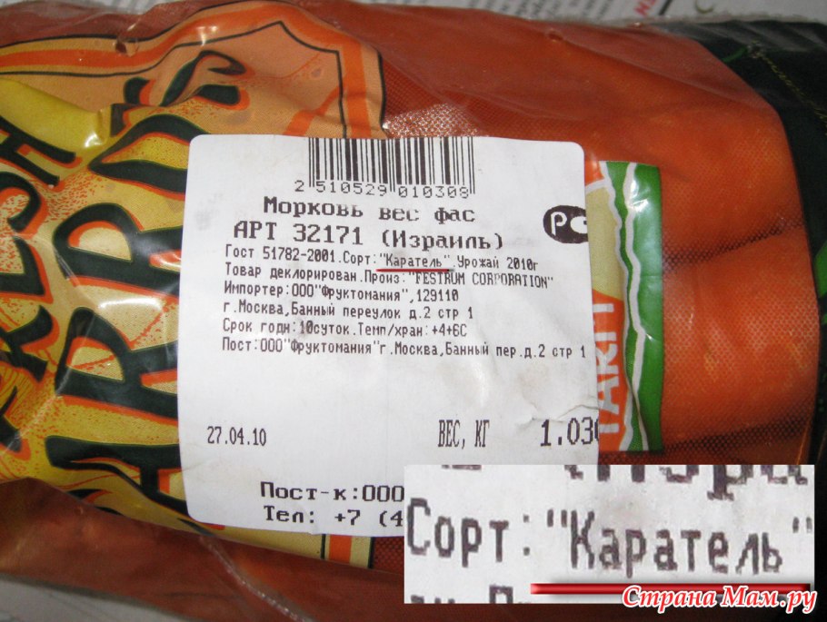 Семена лук Мячковский 300