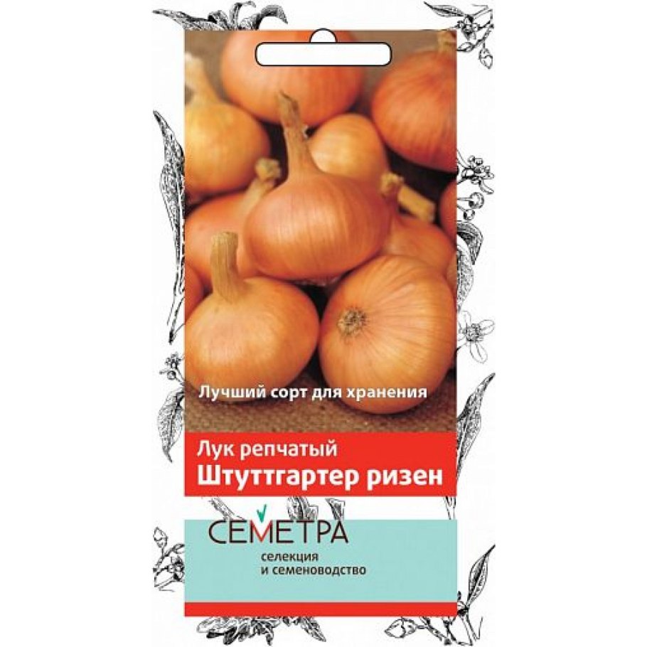 Хранилище для лука севка