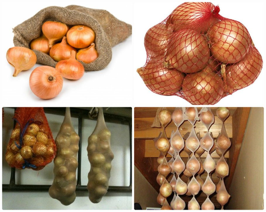 Уборка лука-Репки