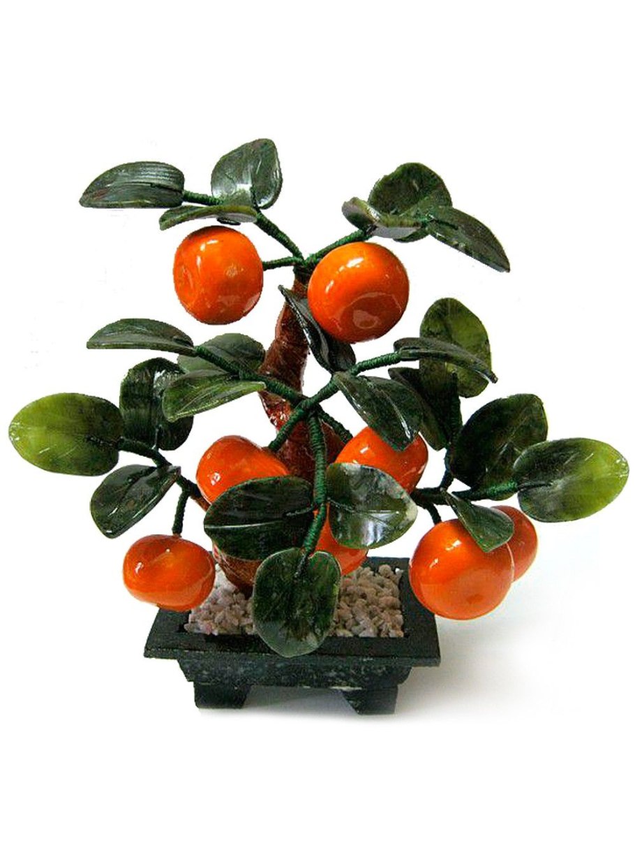 Бонсай мандариновое дерево