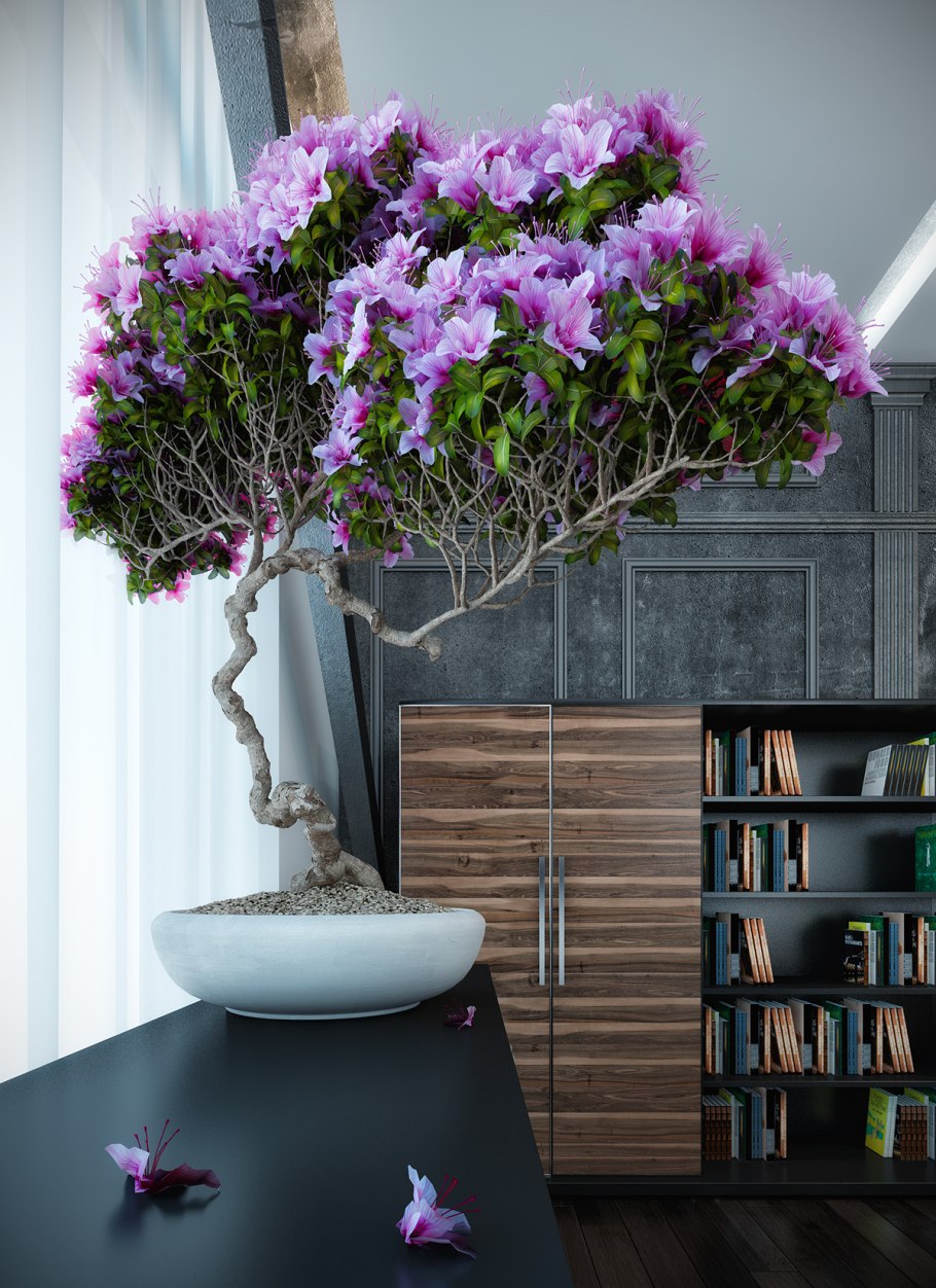 Цветок цитрус каламондин