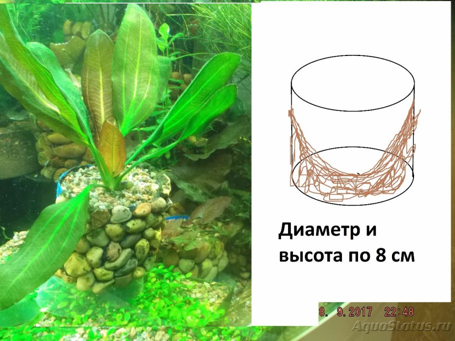 Горшки для аквариумных растений