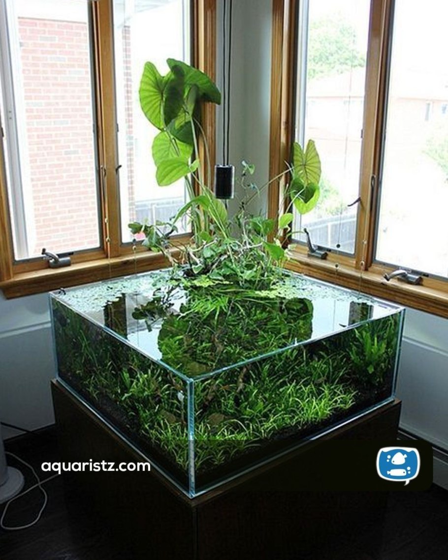 Горшочки для аквариумных растений