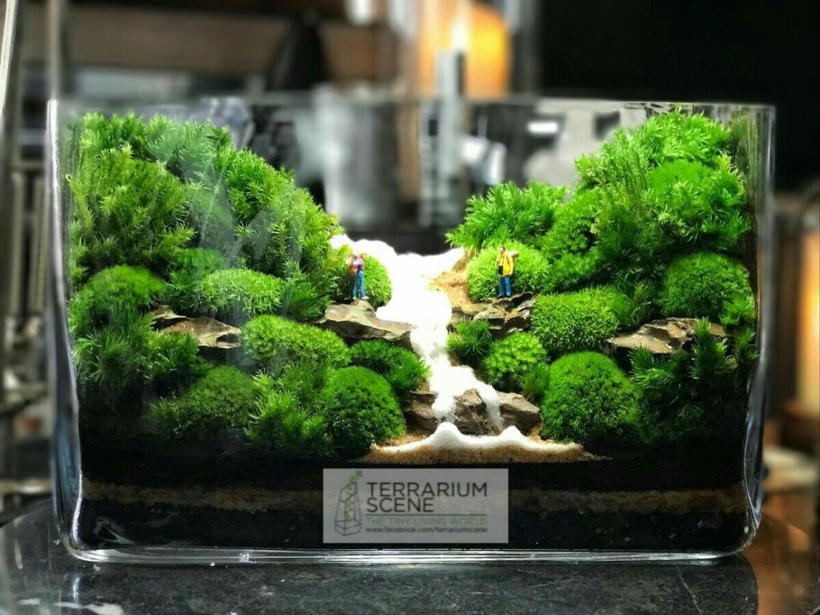 Terrarium Moss террариумный мох