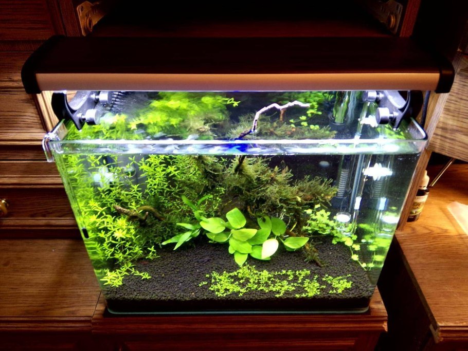 Приспособления для аквариумных растений