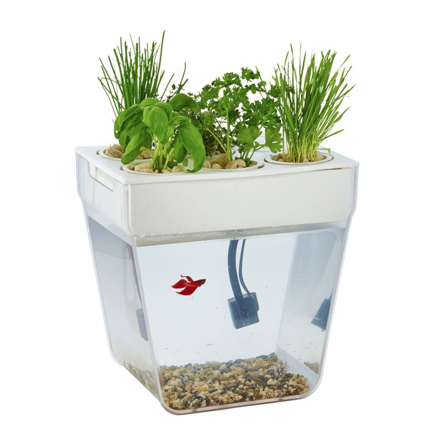 Самоочищающийся аквариум Акваферма