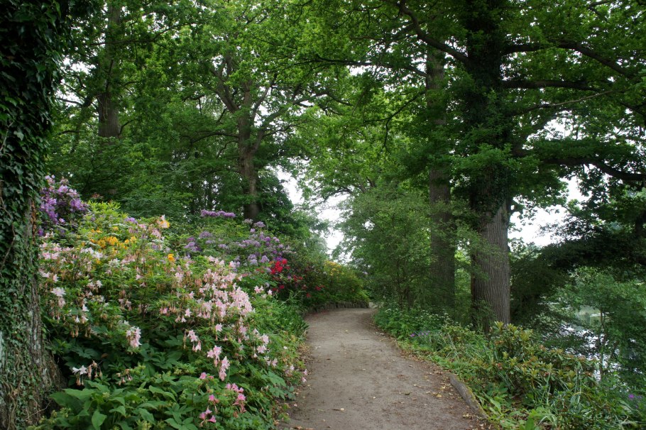 Nederskov лес Дания