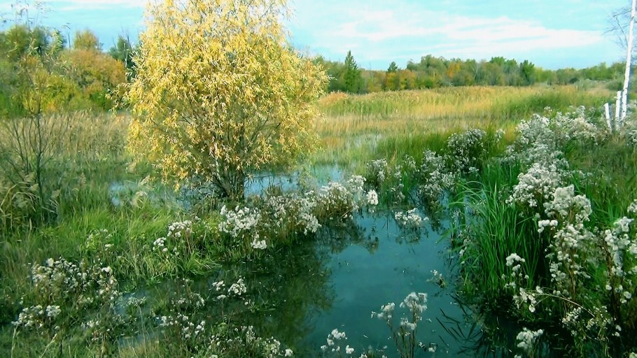 Пейзаж средней полосы России весенний