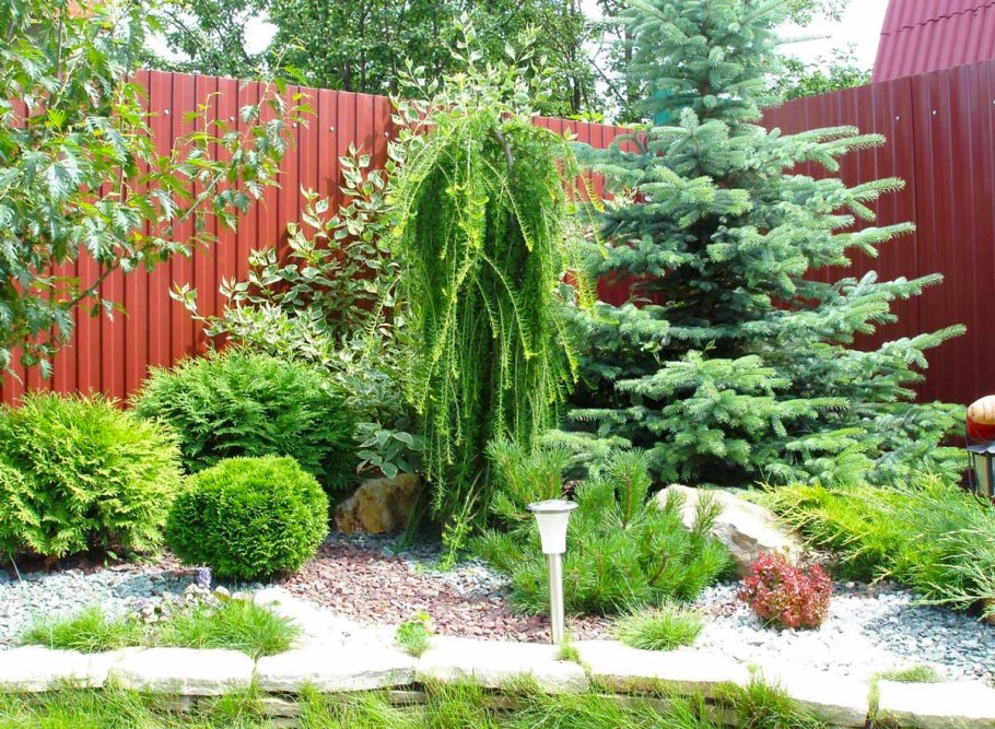 Миксбордер с лиственницей плакучей