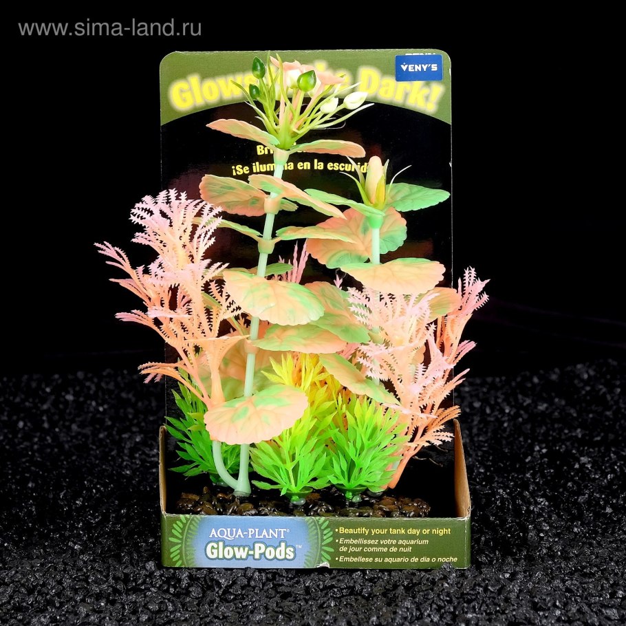 Аквариумные растения в контейнерах