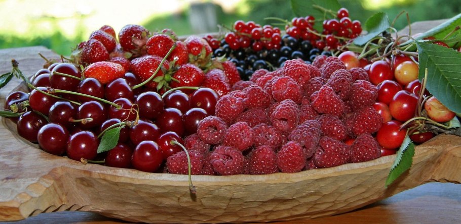 Вишня малина смородина клубника