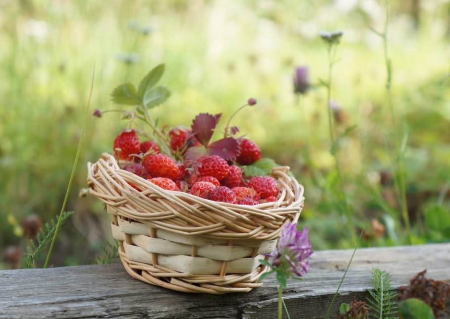 Июльские ягоды