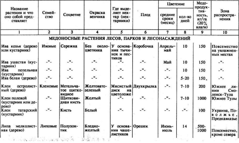 Медоносность трав