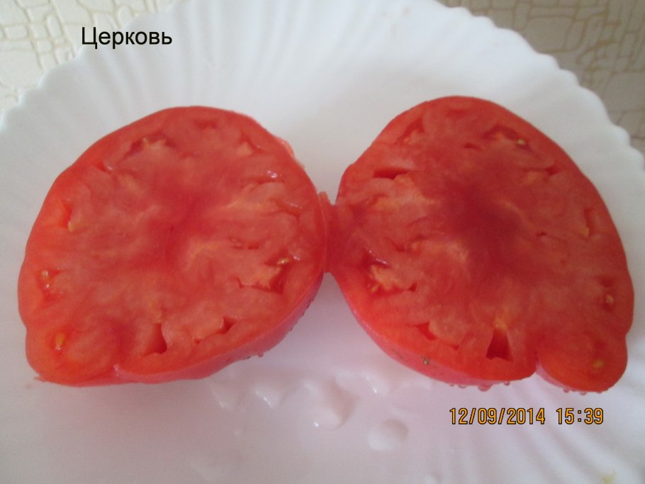 Томат Чурч
