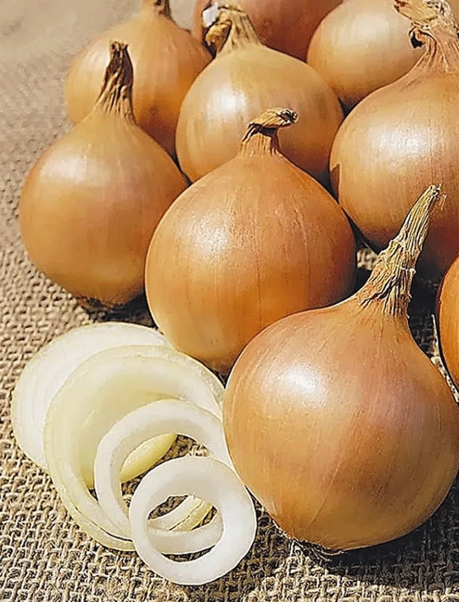 Лук репчатый f1 суперсладкий