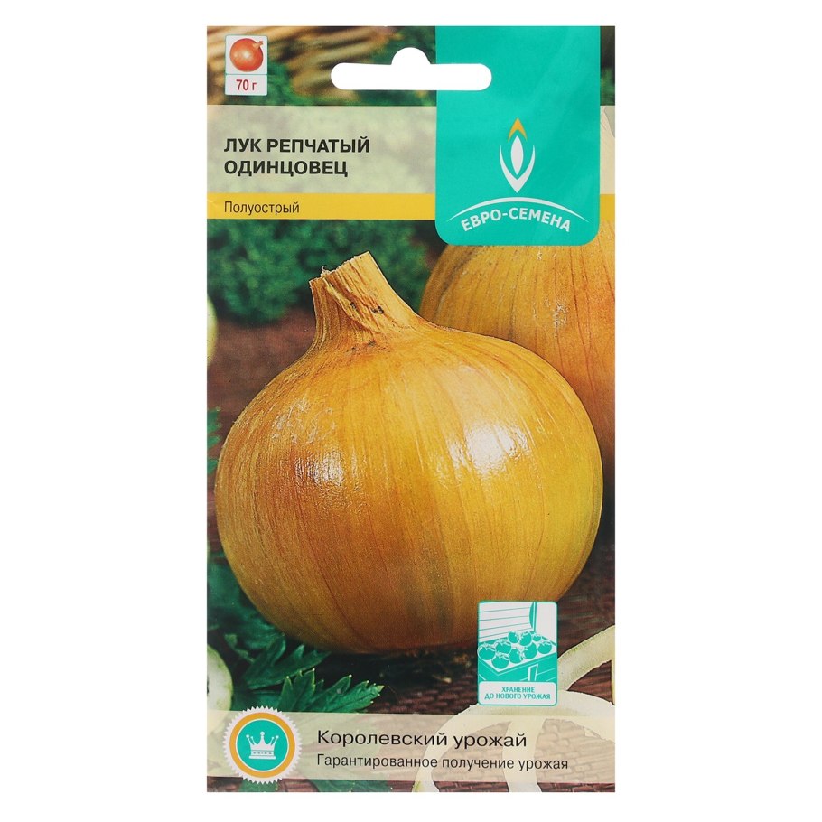 Лук Темптэйшен f1